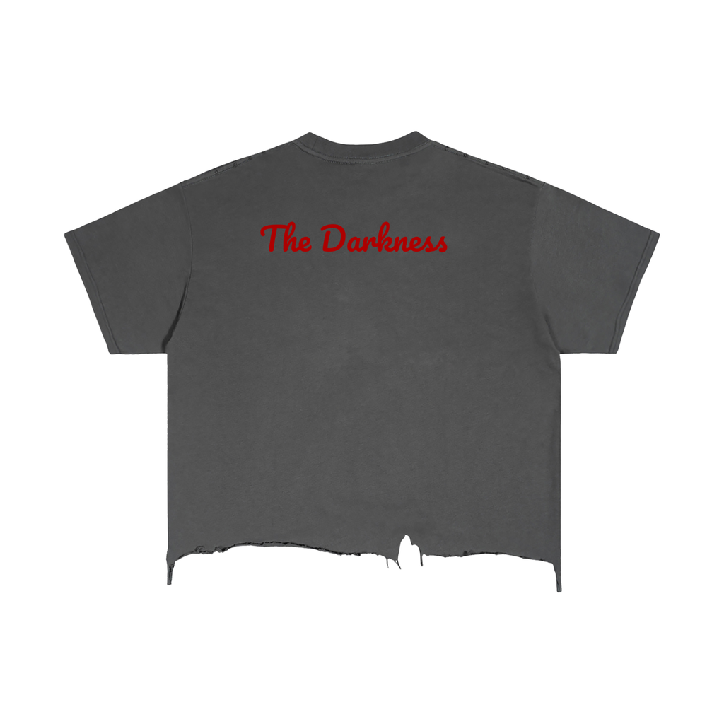 Devils Fallen Angel Vintage Wash Boxy Distressed Hem T-Shirt