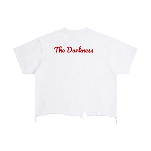Devils Fallen Angel Vintage Wash Boxy Distressed Hem T-Shirt