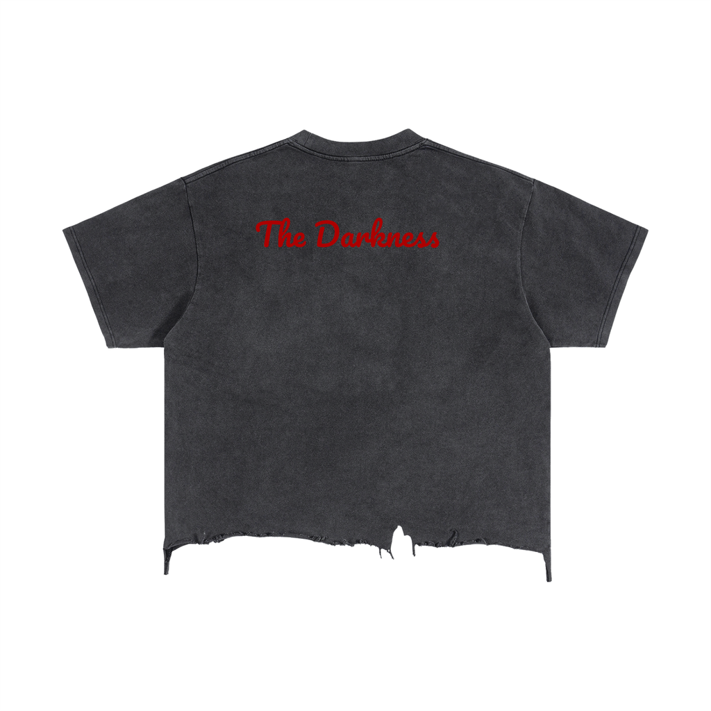 Devils Fallen Angel Vintage Wash Boxy Distressed Hem T-Shirt