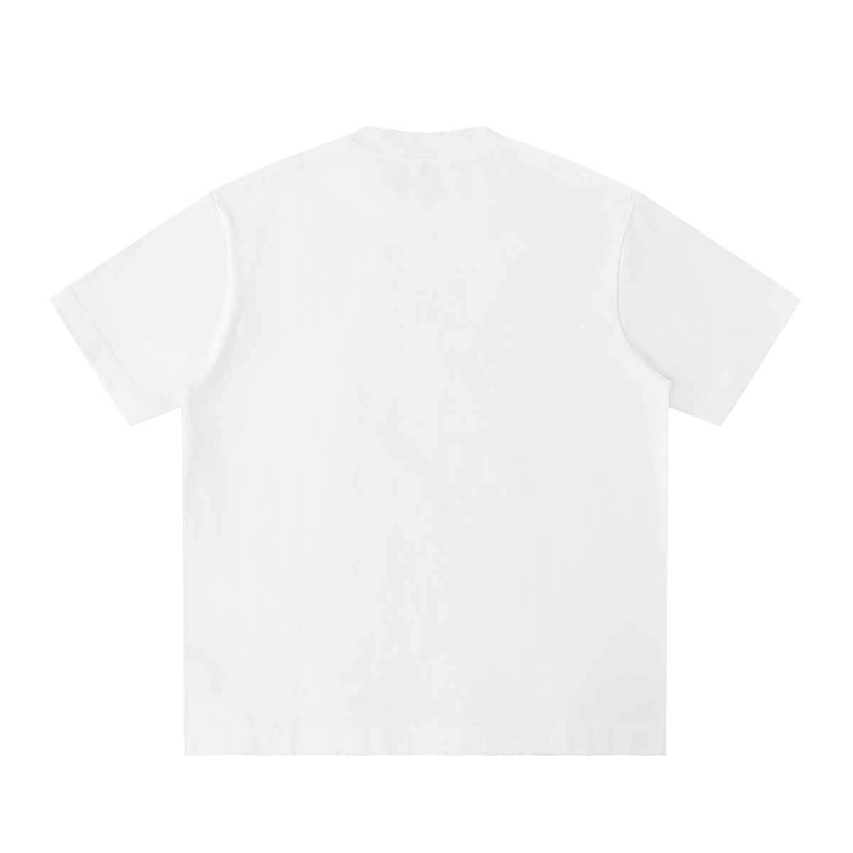 Zeus's Might Heavyweight Vintage Washed Frayed T-Shirt